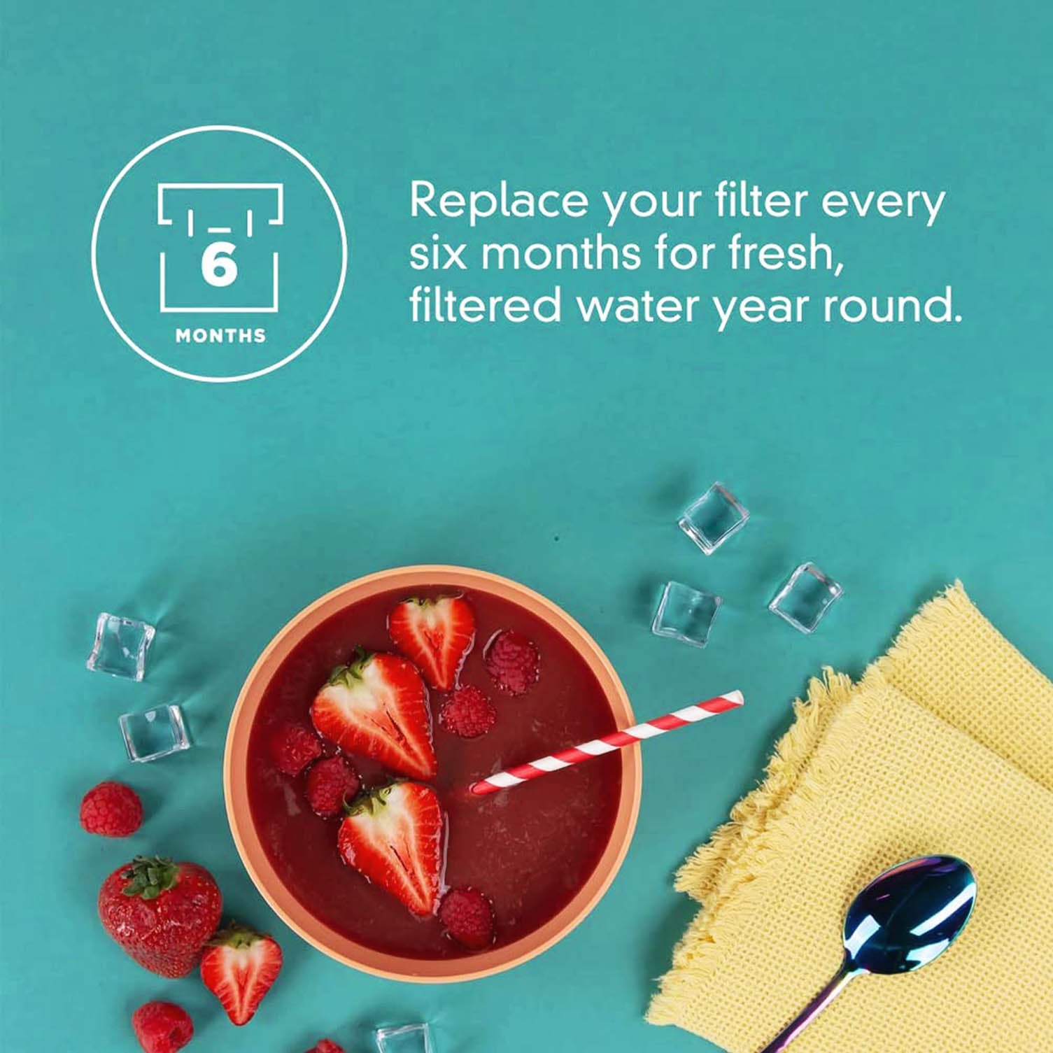 Everydrop Refrigerator Water Filter 2 - EDR2RXD1