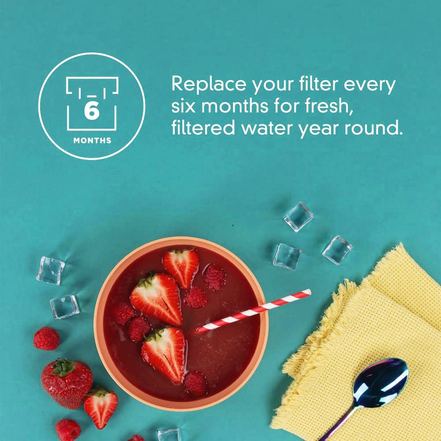 ICE2 F2WC9I1 Ice Maker Filter - F2WC9I1 ICE2 Refrigerator Water Filter W10480323 W10565350