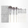 Set of makeup brushes with a gray case on a white background